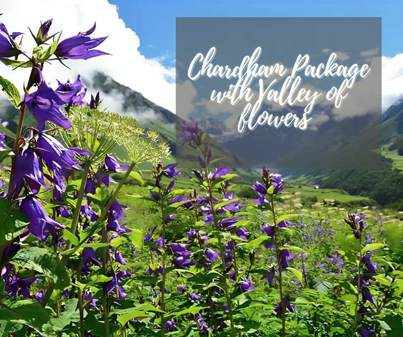 Chardham Package with Valley of Flower