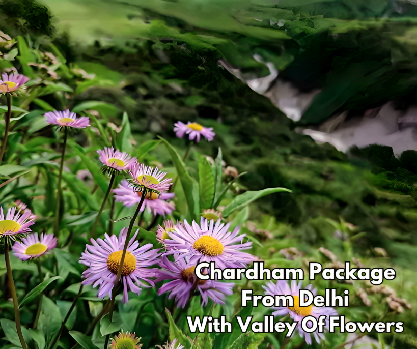 Chardham Package with Valley of Flower From Delhi
